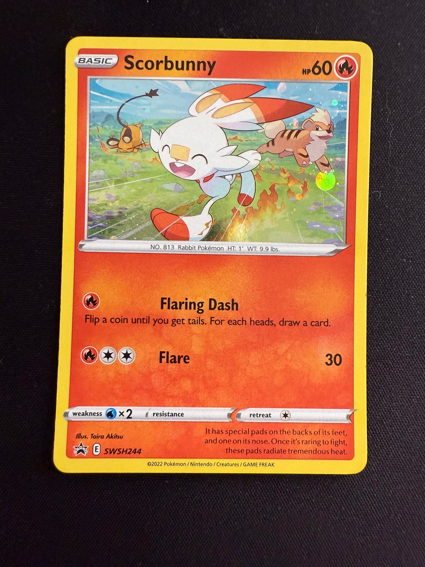 Scorbunny Bundle