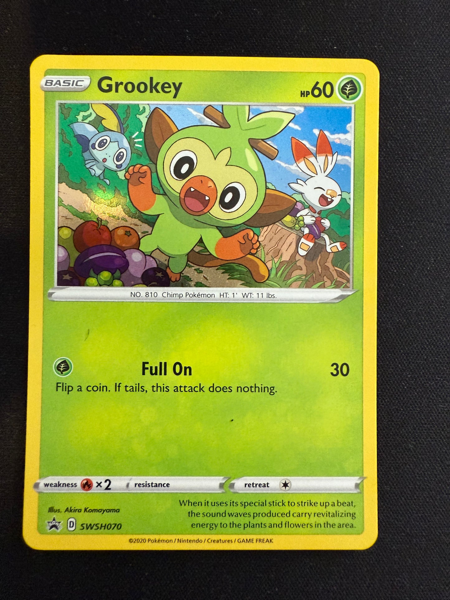 Scorbunny Bundle