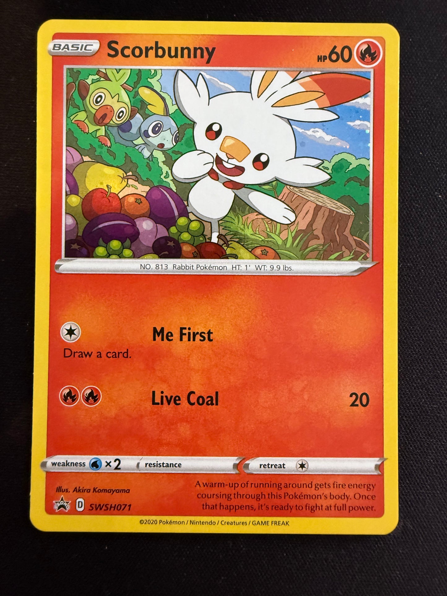 Scorbunny Bundle