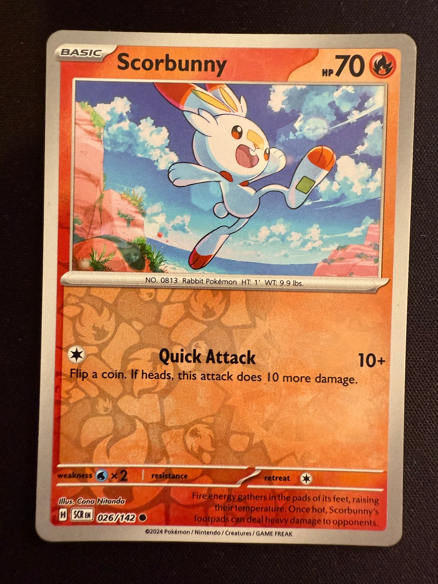 Scorbunny Bundle