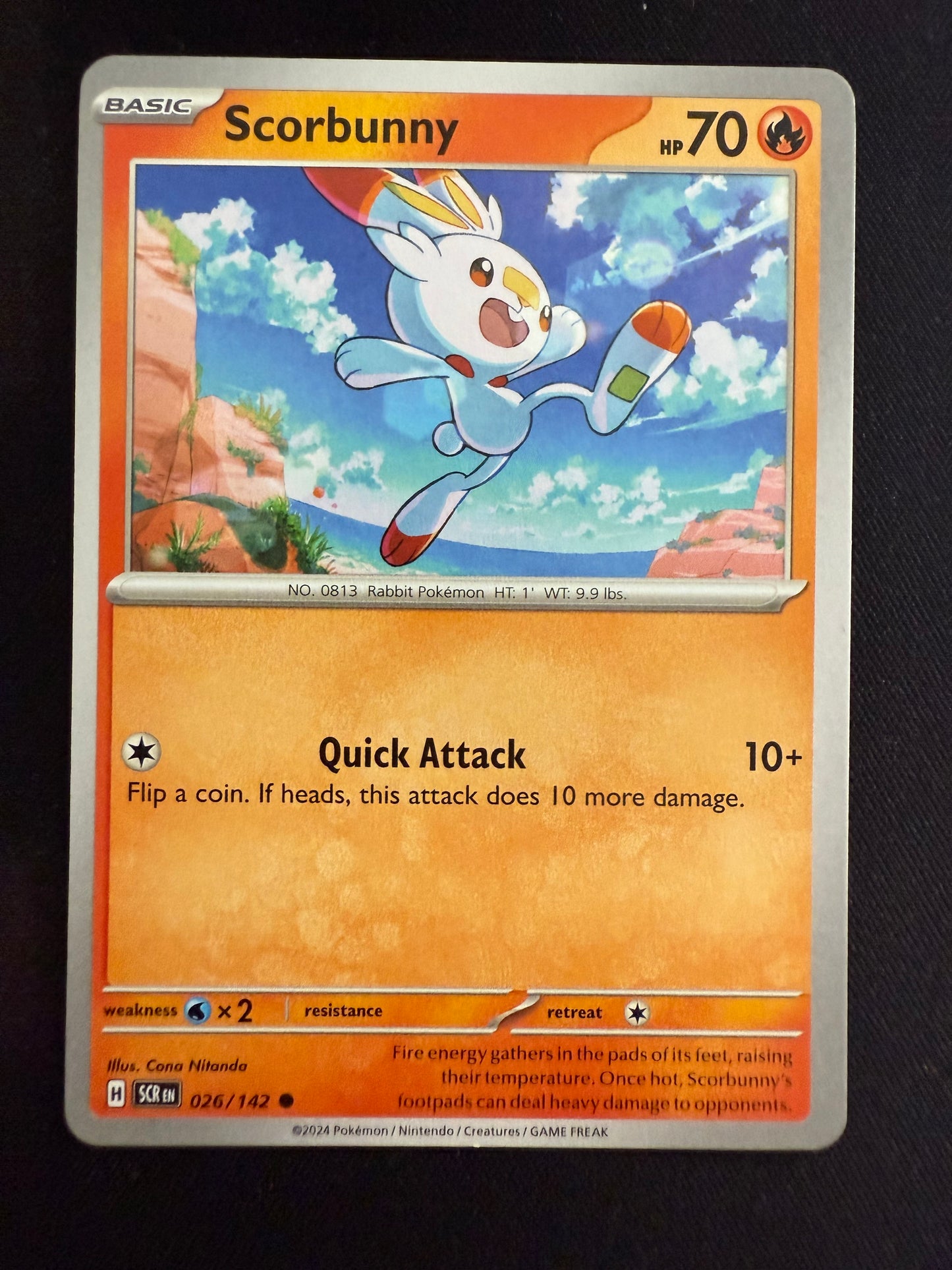 Scorbunny Bundle